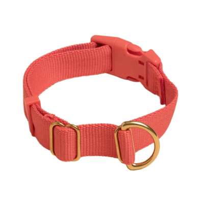 Pets Pack Standard Dog Collar with Fast Release Safety Buckle