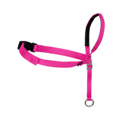 Gentle Leader Headcollar, No-Pull Dog Collar - Raspberry